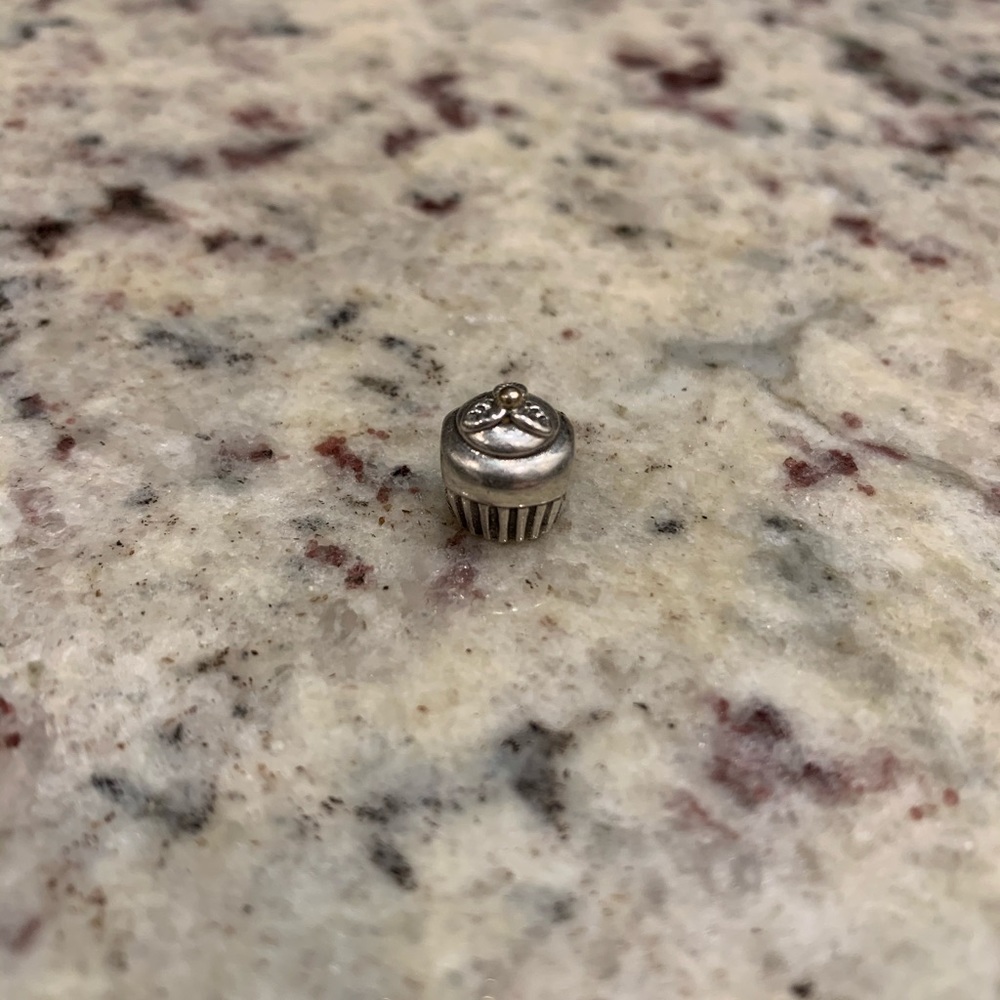 Pandora Bracelet Charms